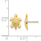 14K Gold Turtle Post Earrings with Polished Finish Nickel Free