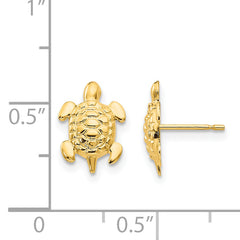 14K Gold Turtle Post Earrings with Polished Finish Nickel Free