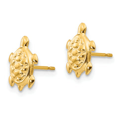 14K Gold Turtle Earrings with Polished Finish Nickel Free