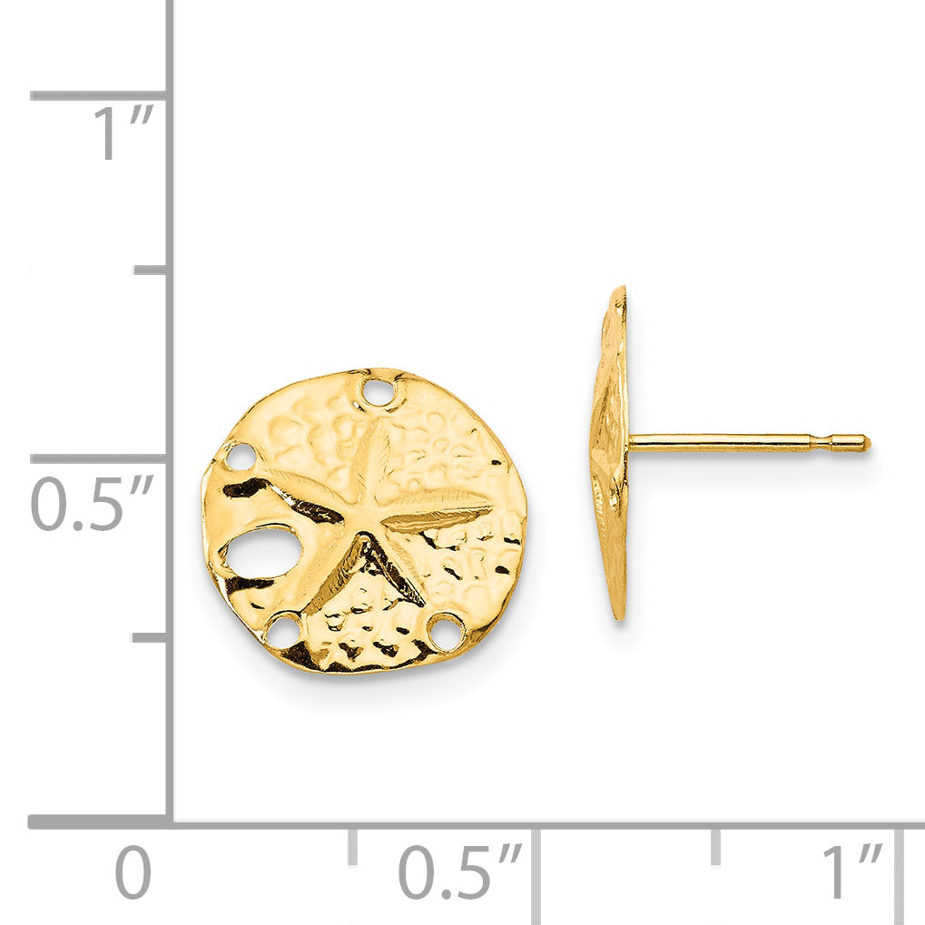 14K Gold Polished Sand Dollar Earrings Elegant & Nickel-Free