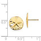 14K Gold Polished Sand Dollar Earrings Elegant & Nickel-Free