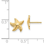 14K Gold Starfish Earrings with Polished Nickle-Free Finish