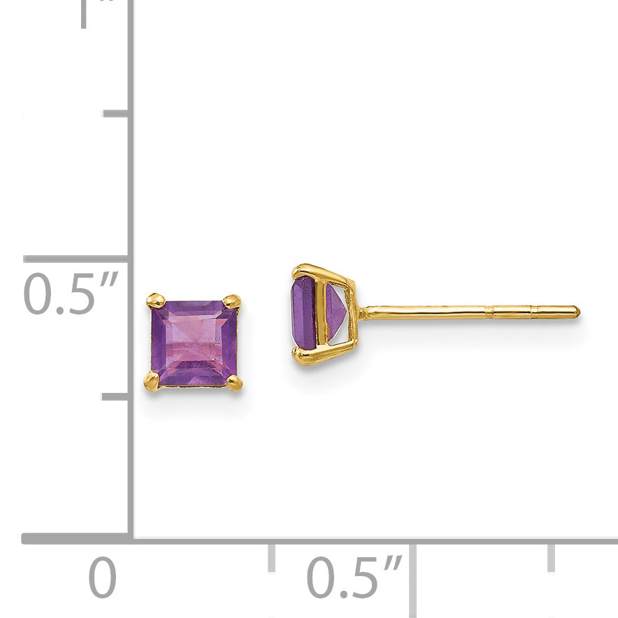 Sophia Jewelers 14K Gold Amethyst Birthstone Stud Earrings