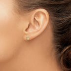 14K Gold Polished CZ Cat Earrings with Screwback  Elegant Women's Jewelry