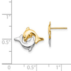 14K Gold Polished Dolphin Earrings with Rhodium Accent for Women