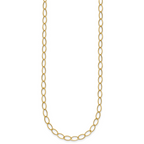 14k Oval Link Necklace