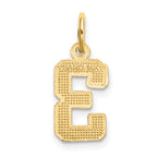 14K Small Brushed Diamond-cut Number 3 Charm
