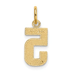 14K Small Brushed Diamond-cut Number 5 Charm