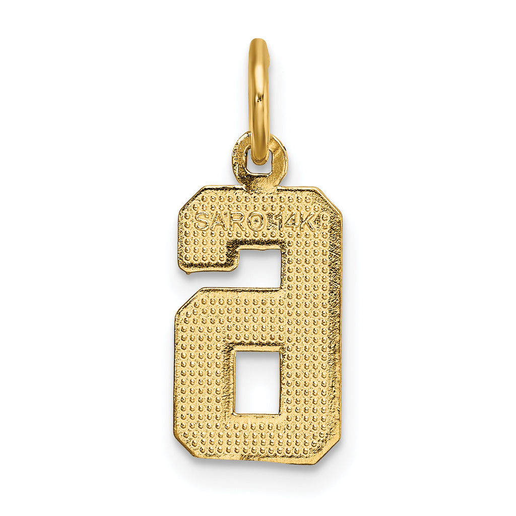 14K Small Brushed Diamond-cut Number 6 Charm