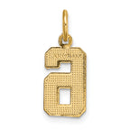 14K Small Brushed Diamond-cut Number 6 Charm