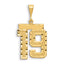 14k Small Brushed Diamond-cut Number 19 Charm