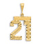 14k Small Brushed Diamond-cut Number 21 Charm