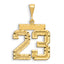 14k Small Brushed Diamond-cut Number 23 Charm
