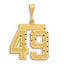 14k Small Brushed Diamond-cut Number 49 Charm