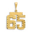 14k Small Brushed Diamond-cut Number 65 Charm