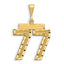 14k Small Brushed Diamond-cut Number 77 Charm