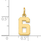 14K Small Polished Number 6 Charm