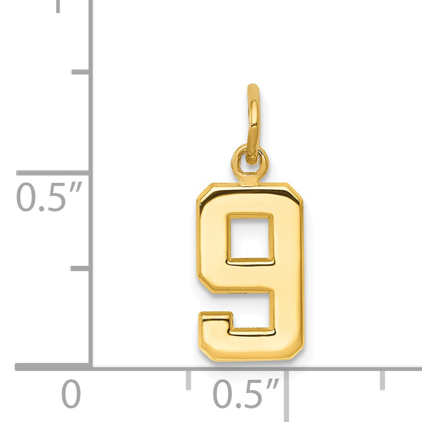 14K Small Polished Number 9 Charm