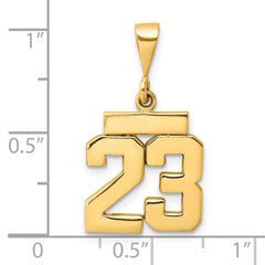 14K Small Polished Number 23 Charm