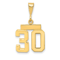 14k Small Polished Number 30 Charm