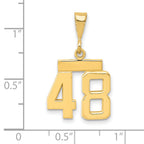 14K Small Polished Number 48 Charm