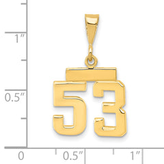 14K Small Polished Number 53 Charm