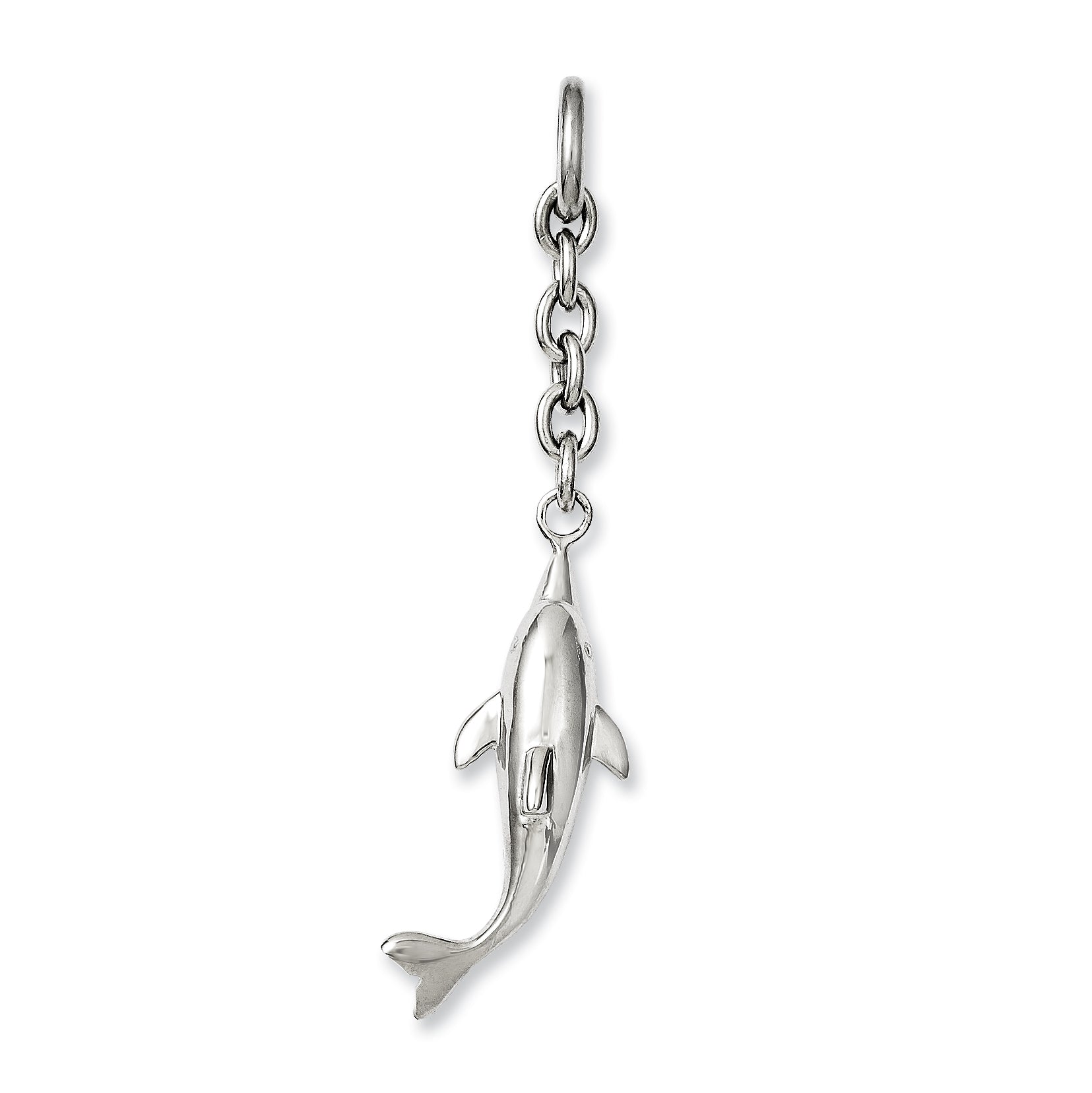 Stainless Steel Dolphin Interchangeable Charm Pendant Main image