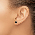 Black Star CZ Stud Earrings in Stainless Steel, 6mm
