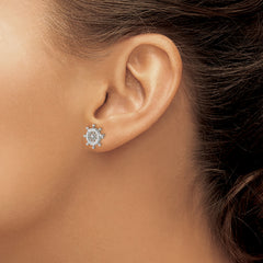 Chisel Stainless Steel Polished Preciosa Crystal Ship Wheel Post Earrings