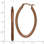Sophia Jewelers Polished Brown Stainless Steel Oval Hoop Earrings Gift Ready
