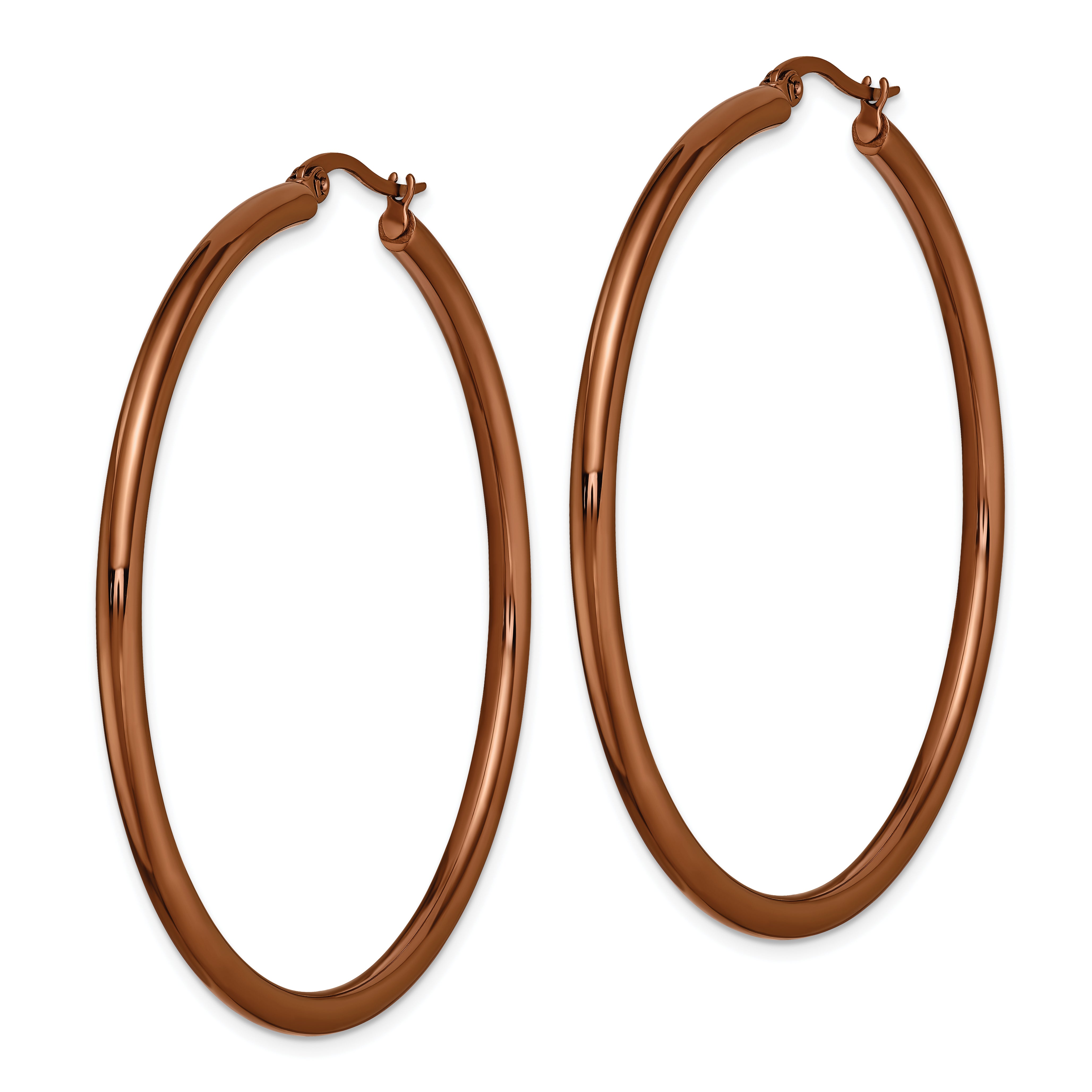 Sophia Jewelers Women's Polished Stainless Steel Hoop Earrings with Brown IP-Plating