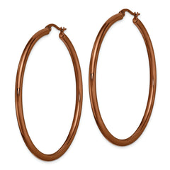 Sophia Jewelers Women's Polished Stainless Steel Hoop Earrings with Brown IP-Plating