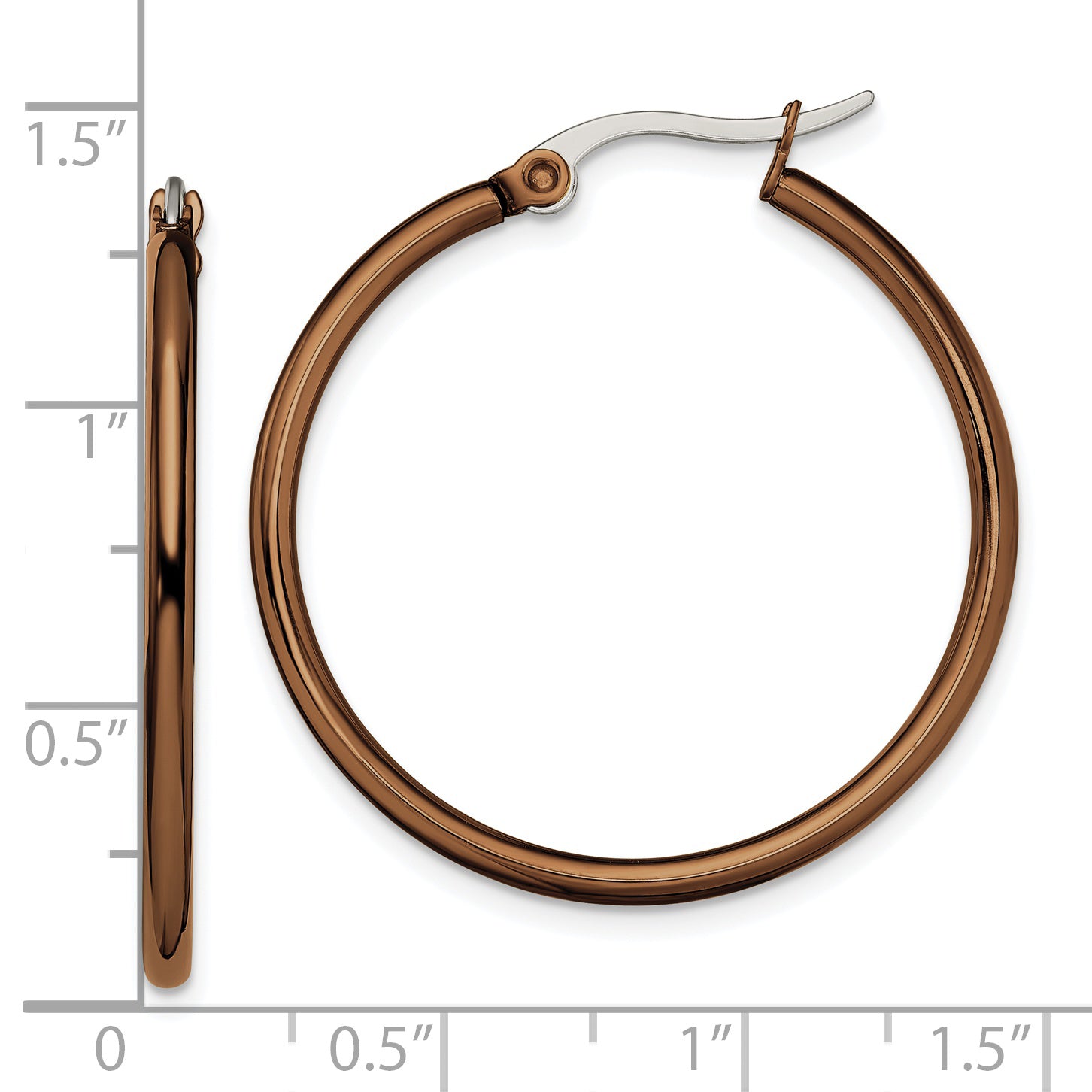Sophia Jewelers Women's Polished Stainless Steel Brown Hoop Earrings Gift Ready
