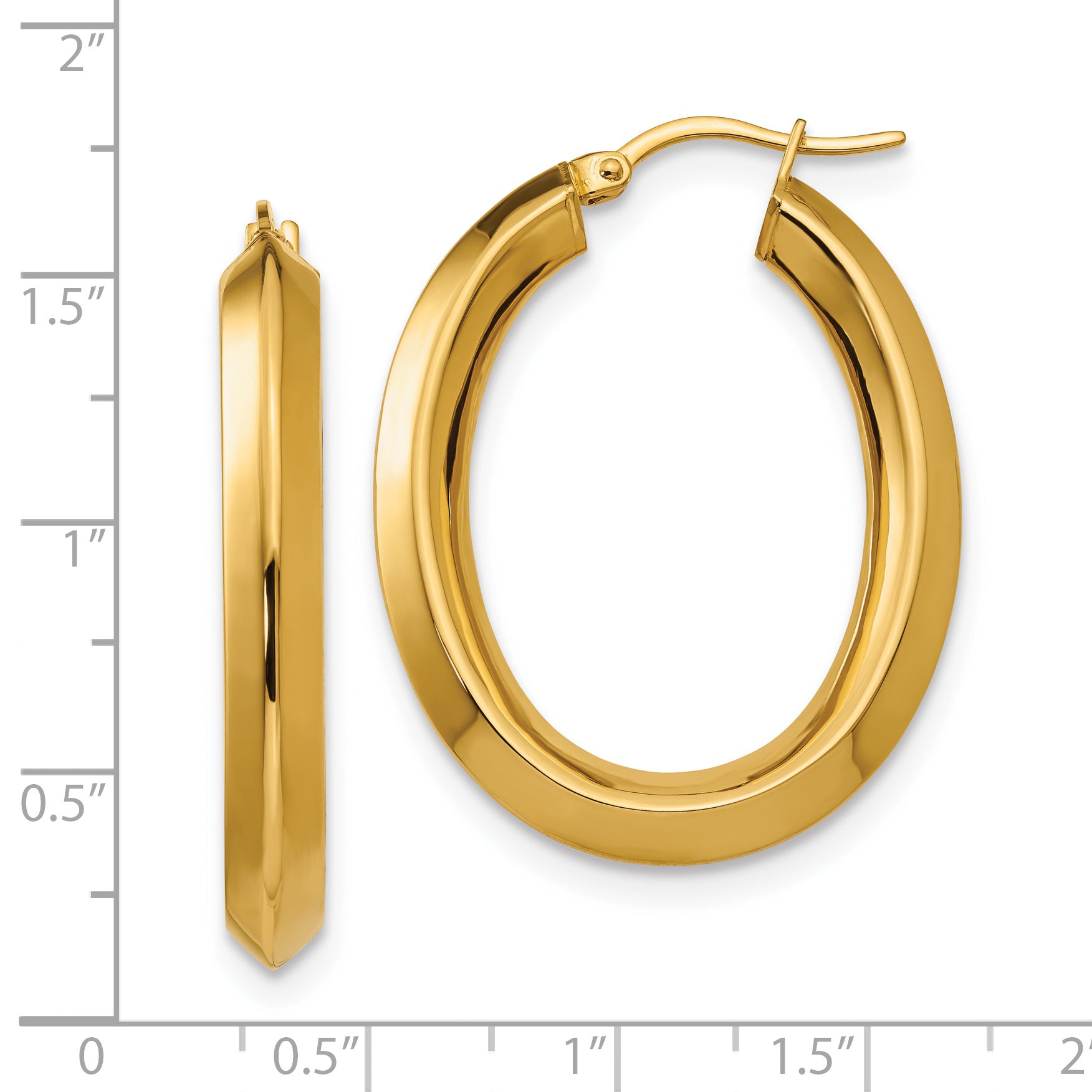 Stainless Steel Gold Tone Hoop Earrings with Polished Finish Gift Ready