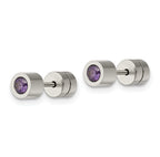 Sophia Jewelers Stainless Steel Purple CZ February Birthstone Stud Earrings