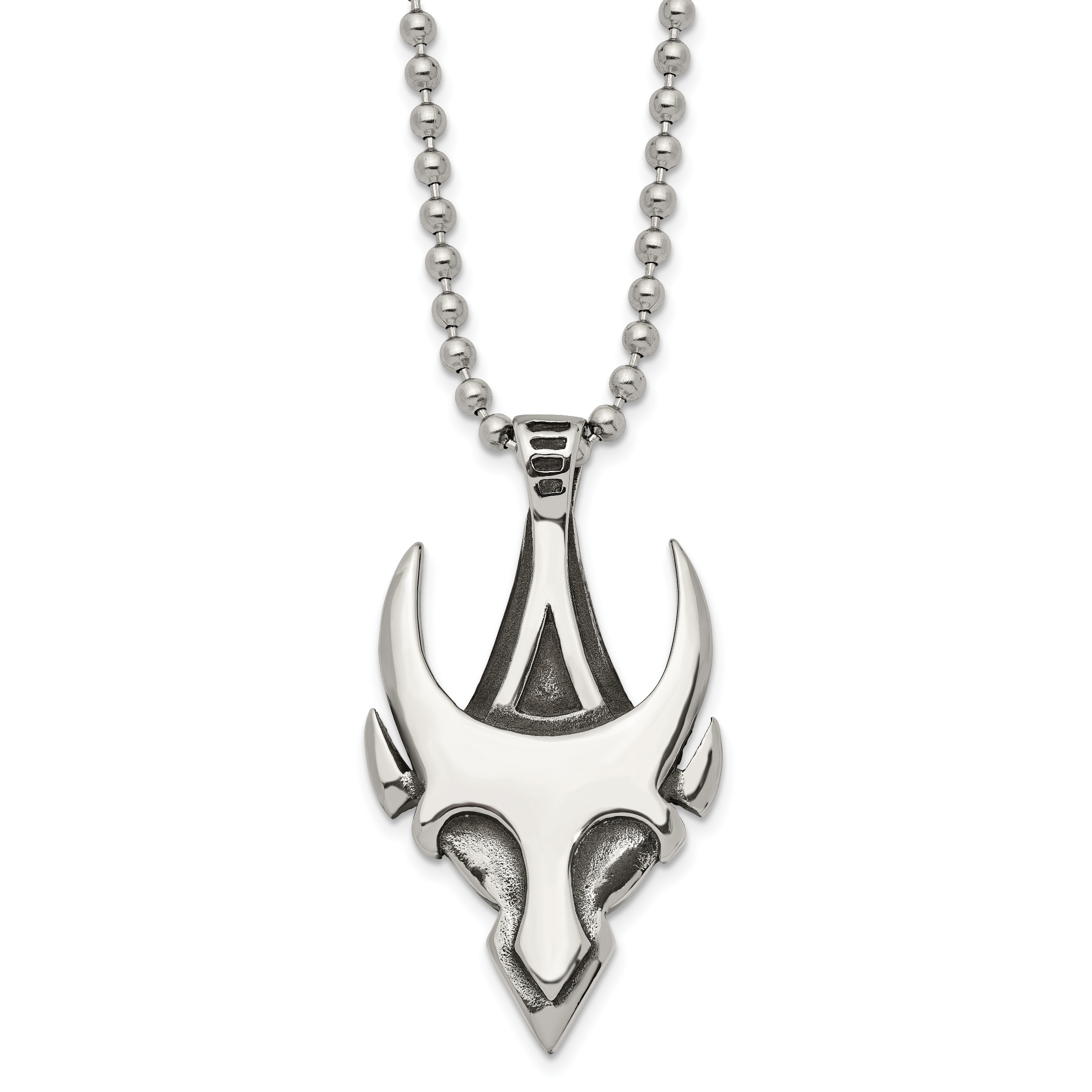 Stainless Steel Antiqued and Polished Skull 22in Necklace Main image