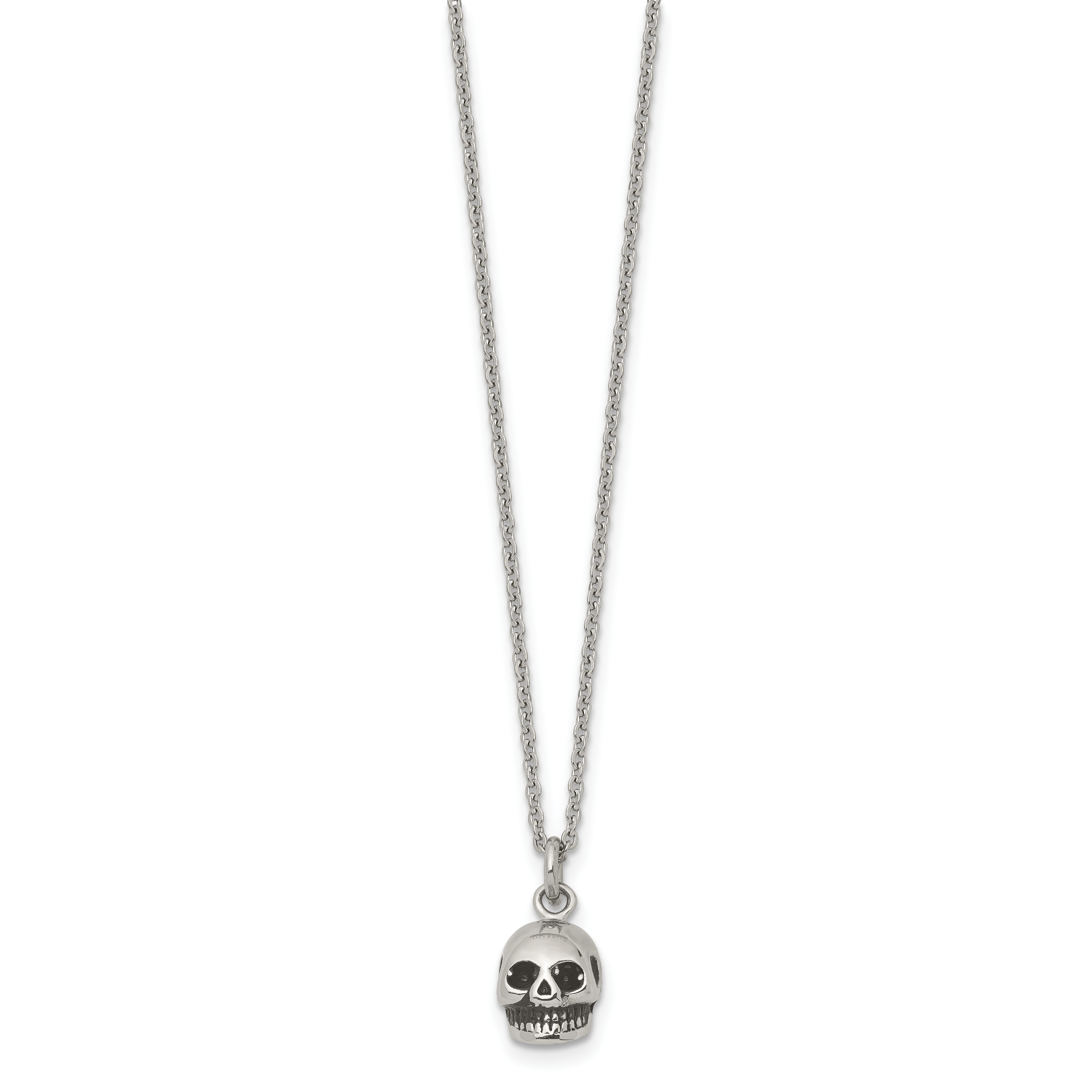 Stainless Steel Polished and Antiqued Skull 19in Necklace