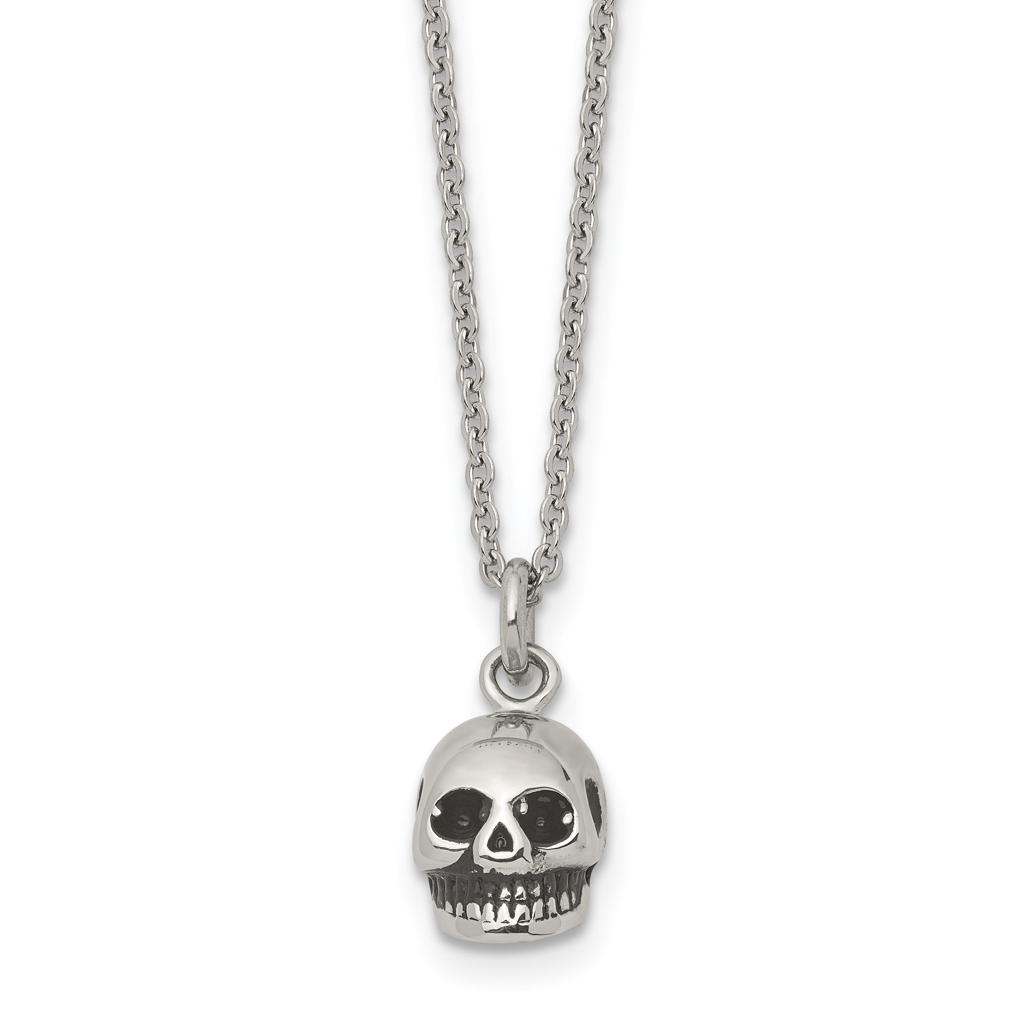 Stainless Steel Polished and Antiqued Skull 19in Necklace Main image