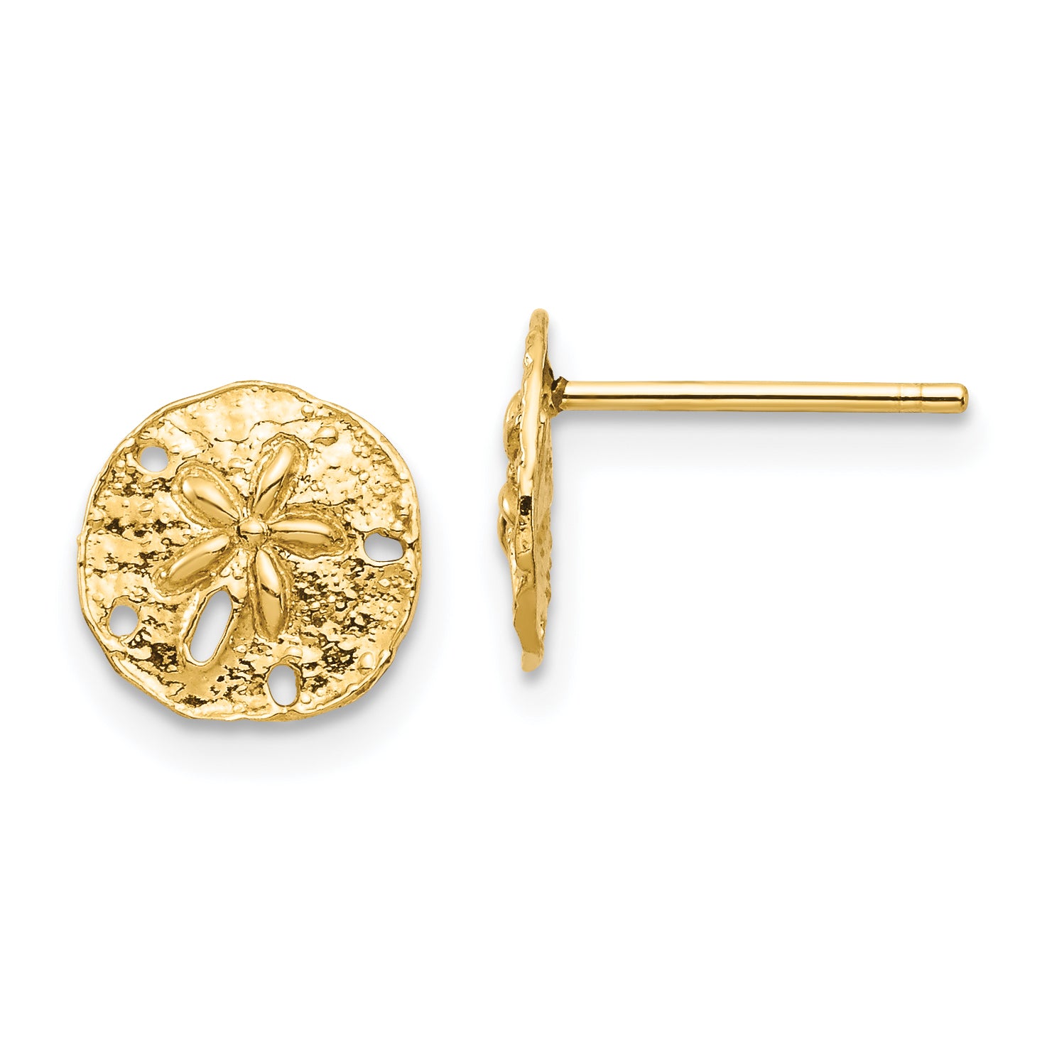 14K Sand Dollar Post Earrings Main image