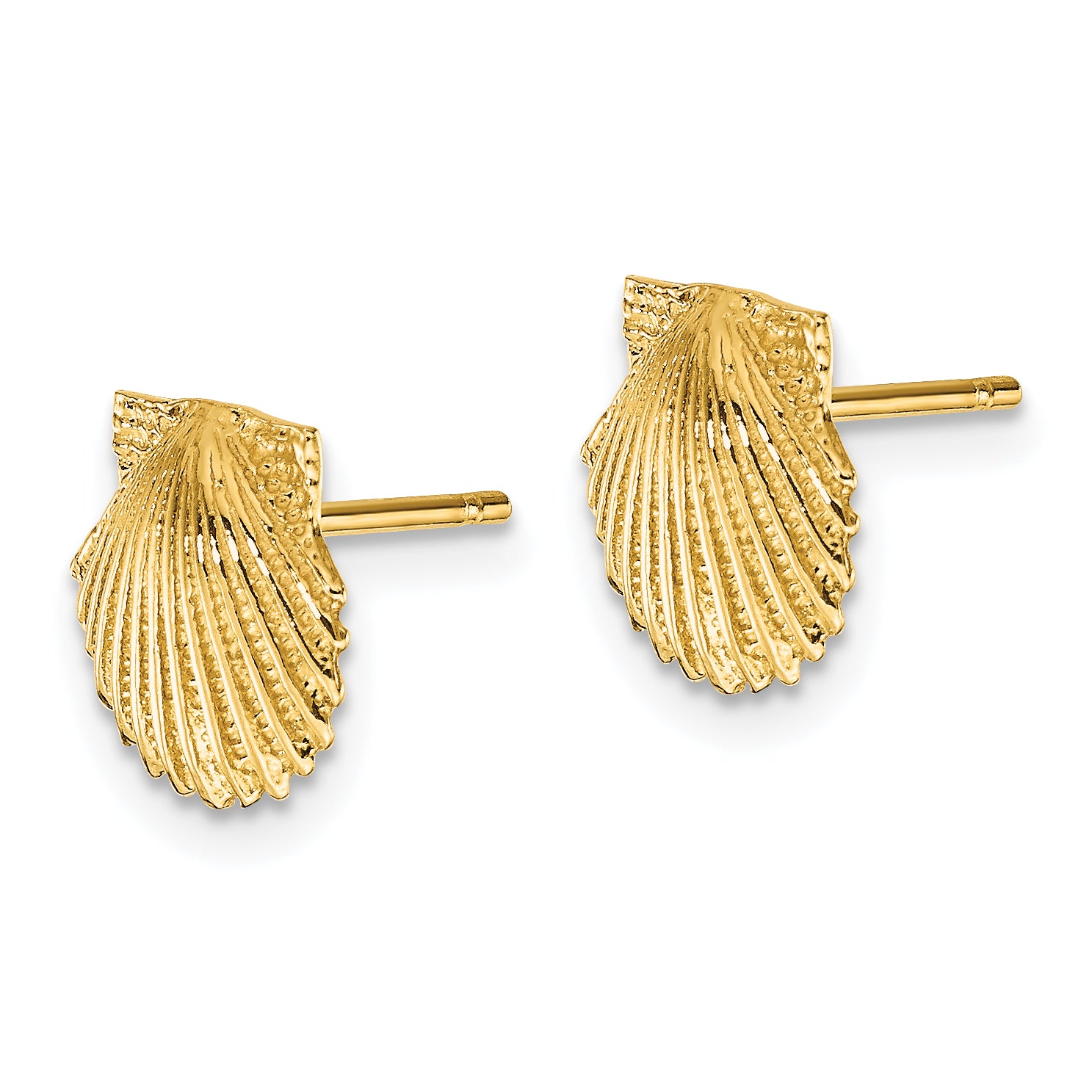 14k Scallop Shell Post Earrings Secondary image