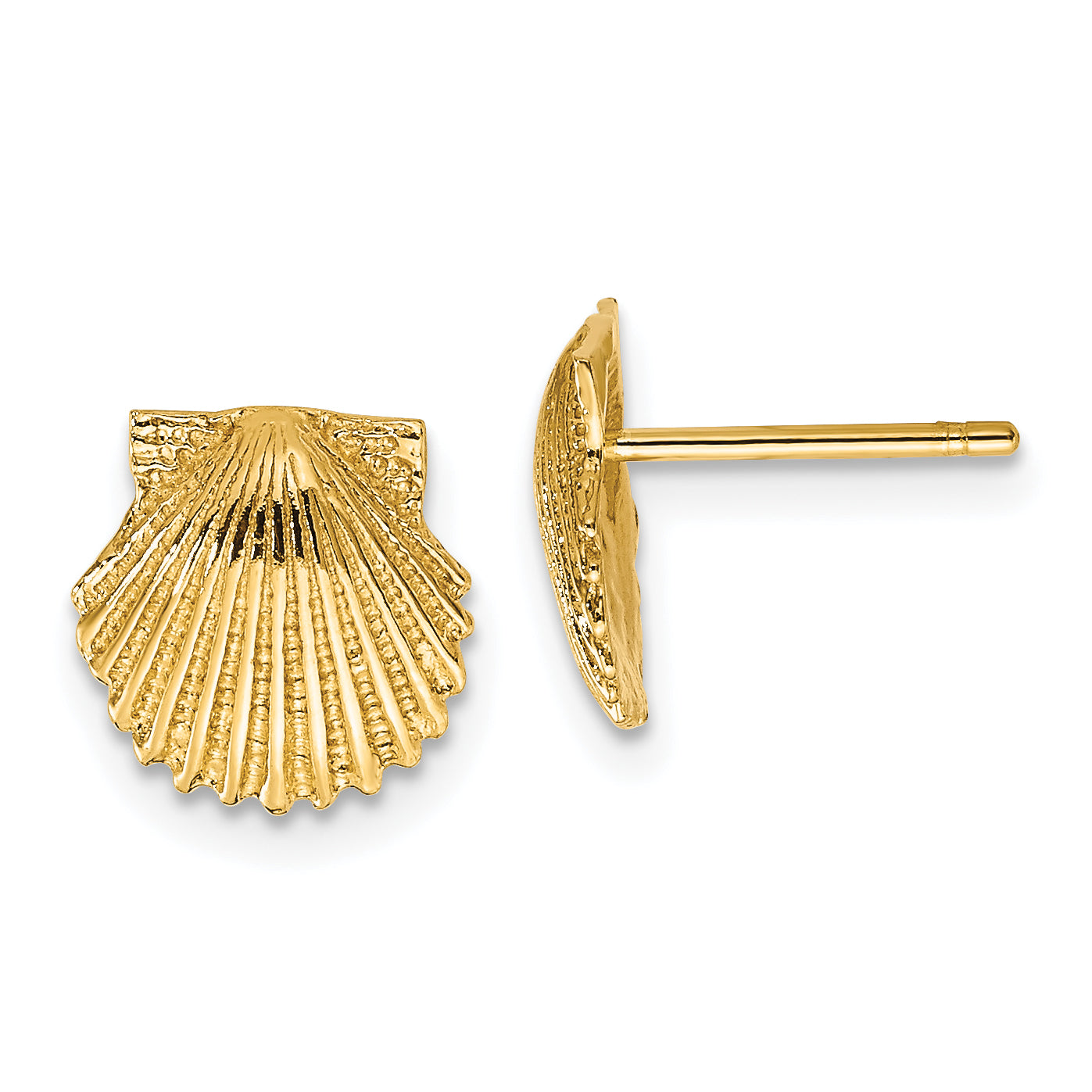 14k Scallop Shell Post Earrings Main image