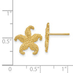 14k Starfish Post Earrings