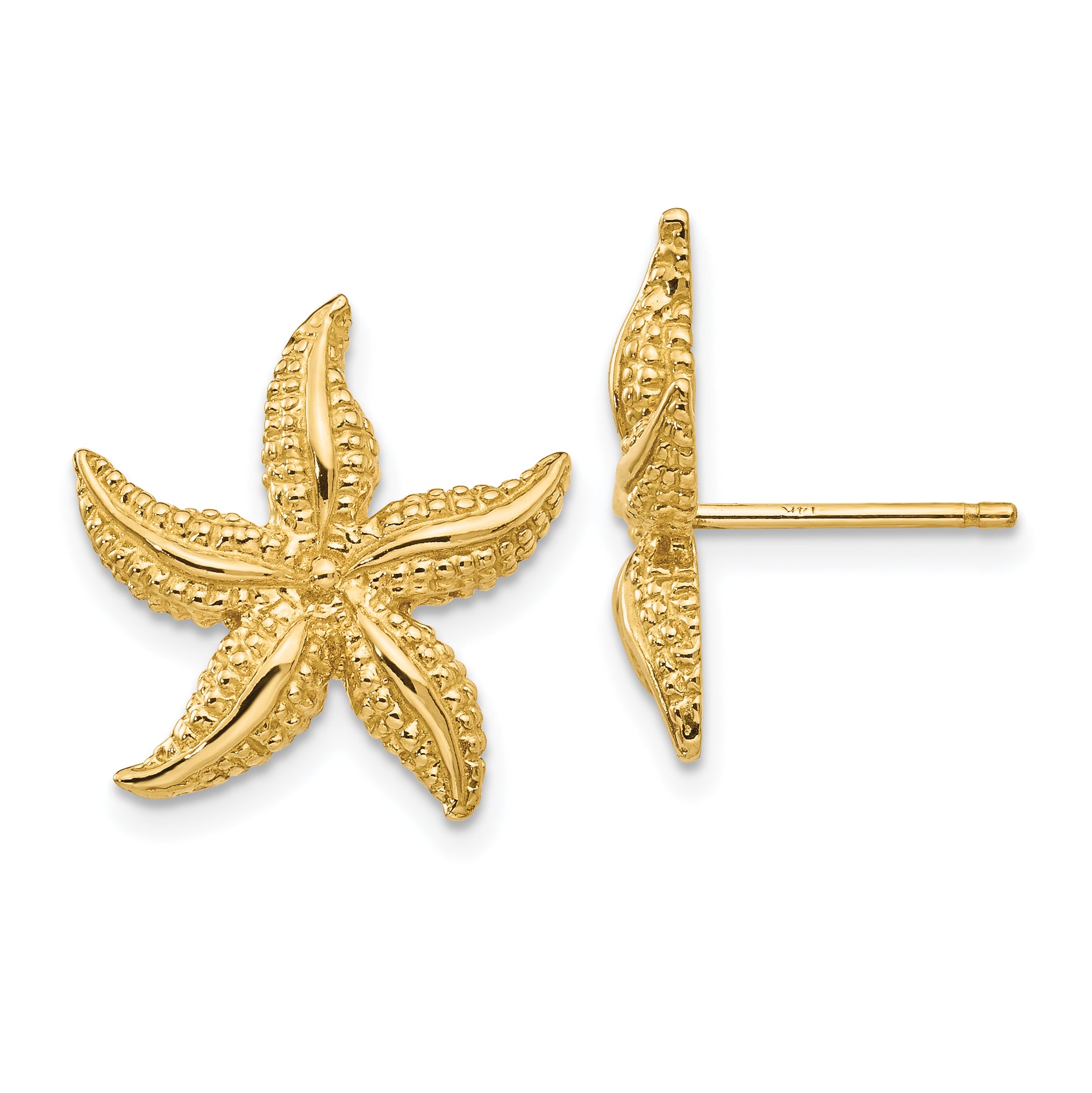 14k Starfish Post Earrings Main image