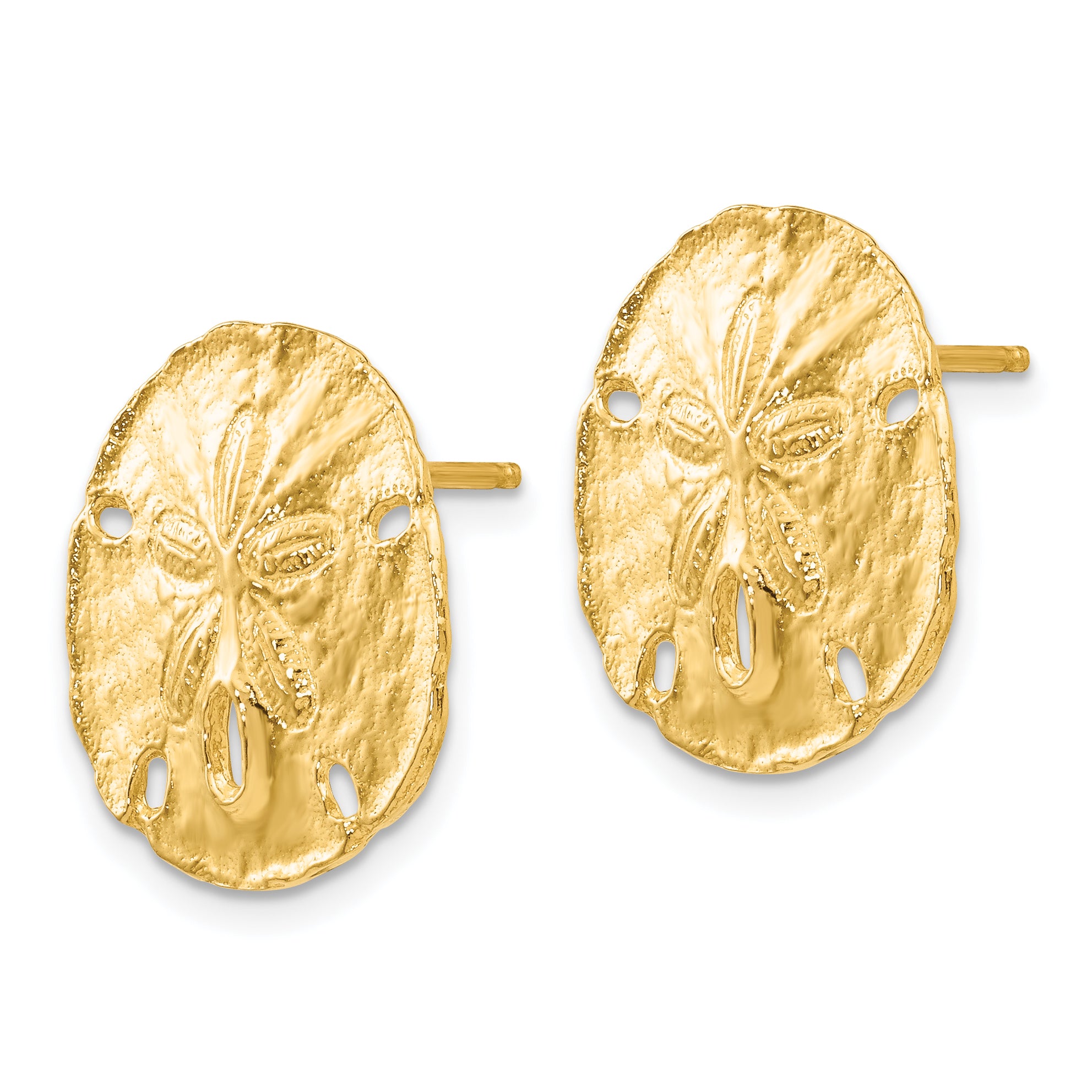14k Large Sanddollar Post Earrings Secondary image