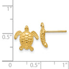 14k Sea Turtle Post Earring