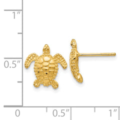 14k Sea Turtle Post Earring