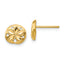 14K Diamond-cut Sand Dollar Earrings