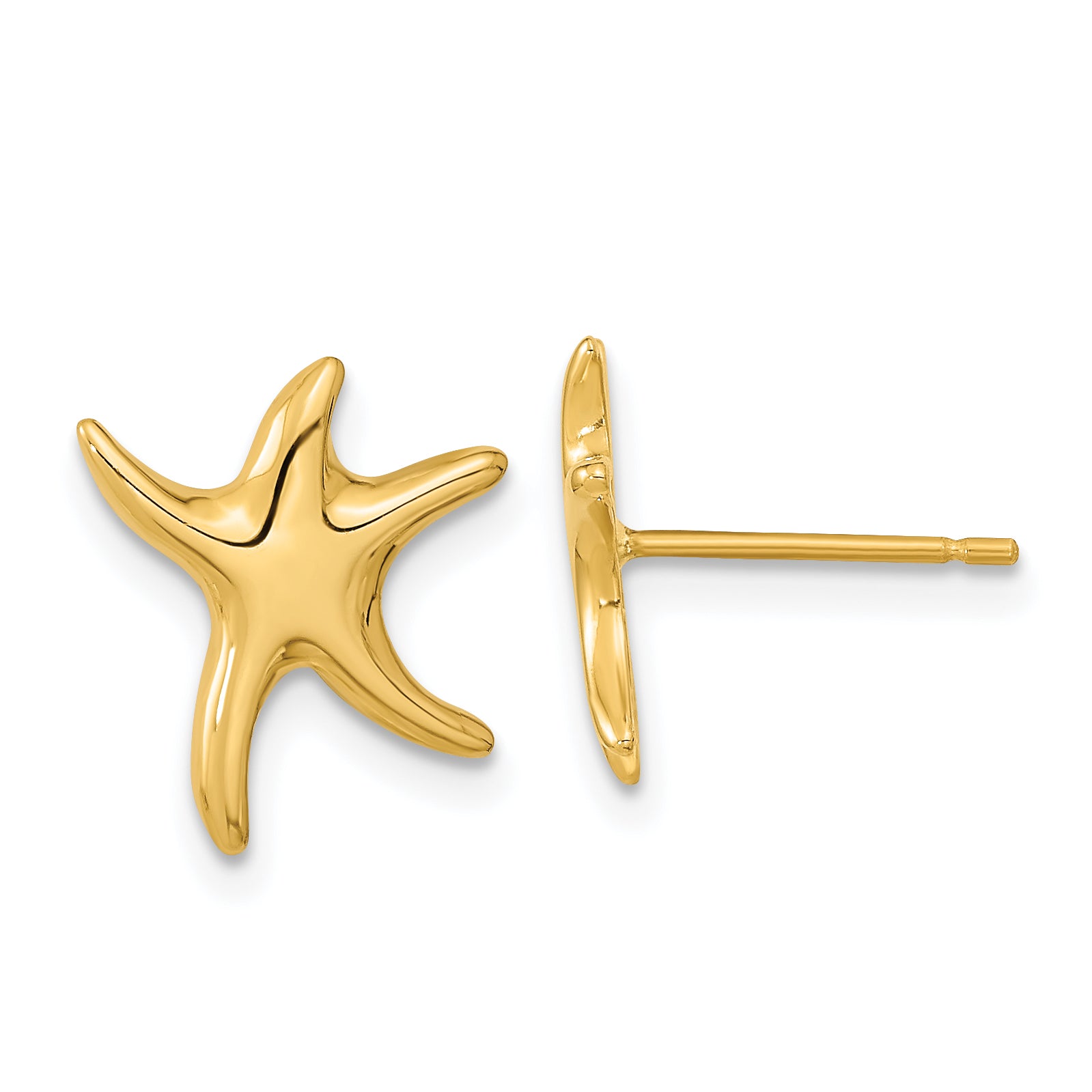 14k Polished Starfish Post Earrings Main image