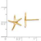 14k Starfish Post Earrings