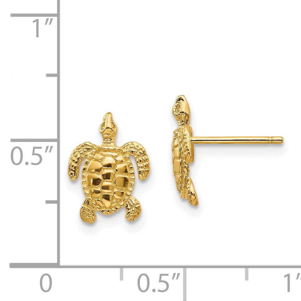 14k Sea Turtle Post Earrings